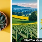 Home 22 인간 중심의 직업 설계 방법 - Here are three image prompts in English, keeping all guidelines in mind: